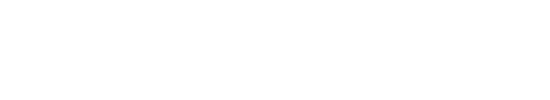 texan-butchery-logo-white